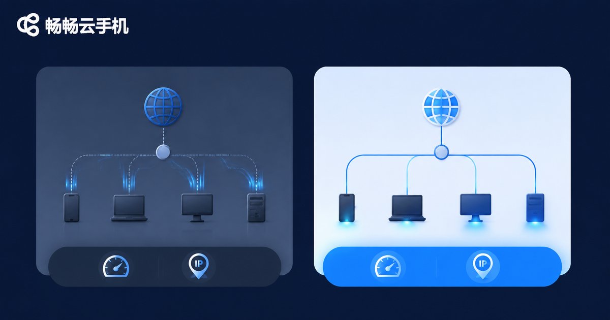Network comparison infographic