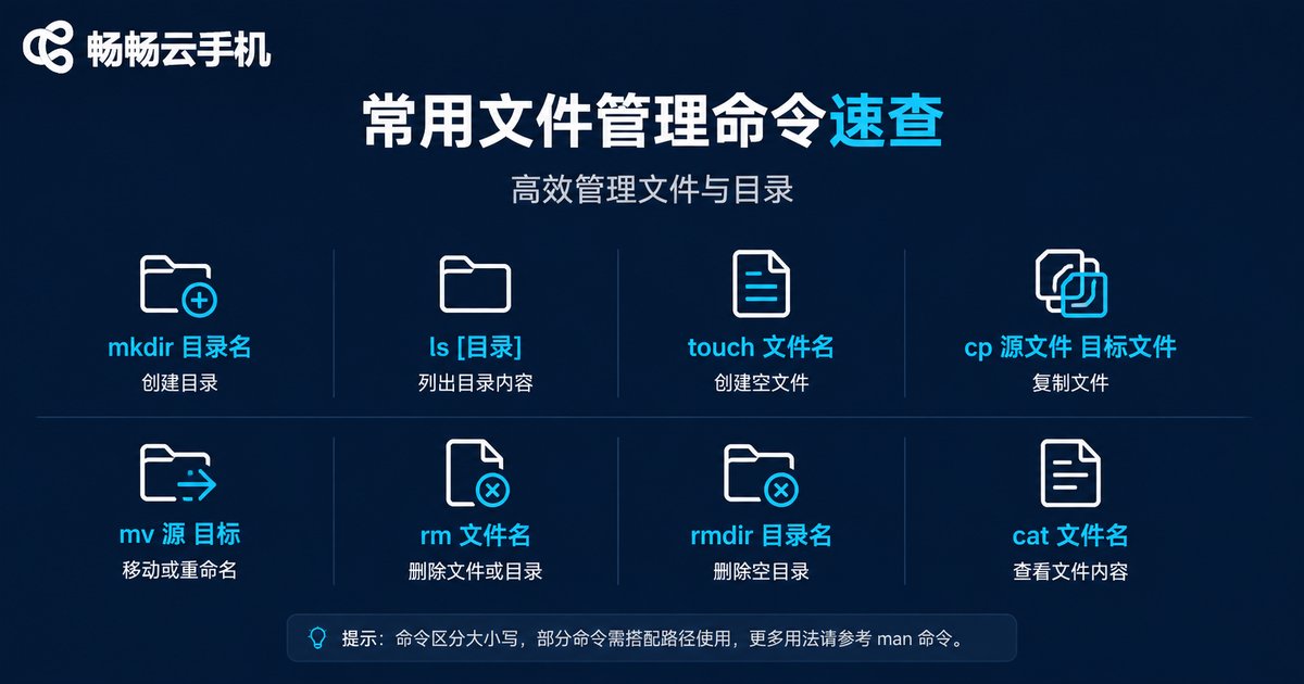 常用文件管理终端命令速查信息图