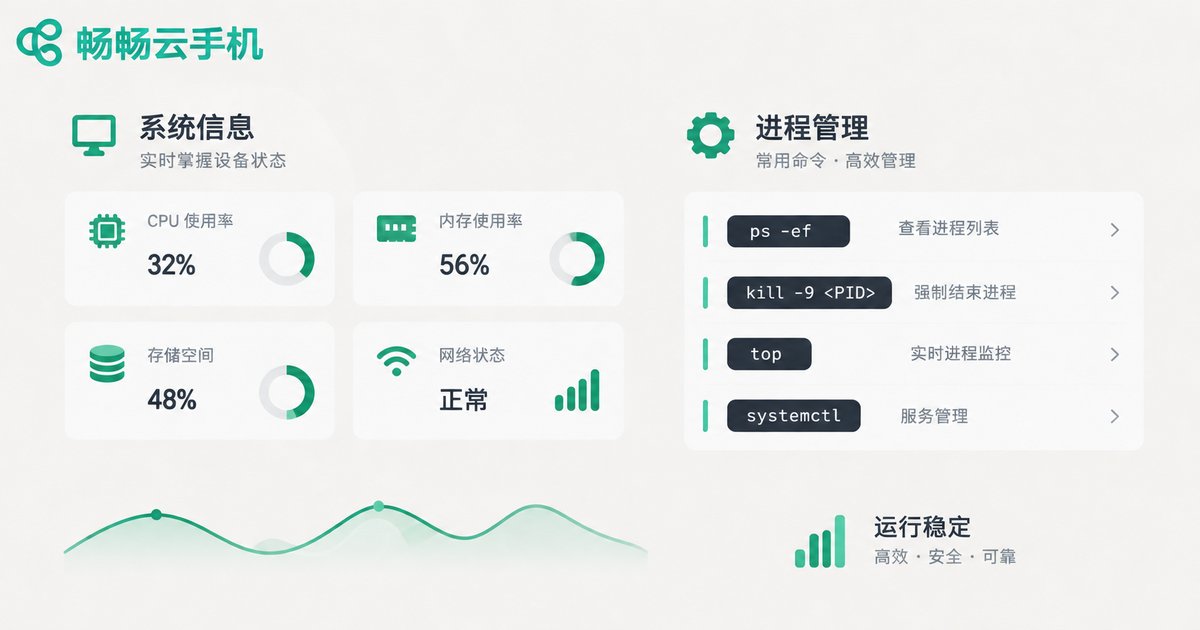 系统信息与进程管理命令信息图