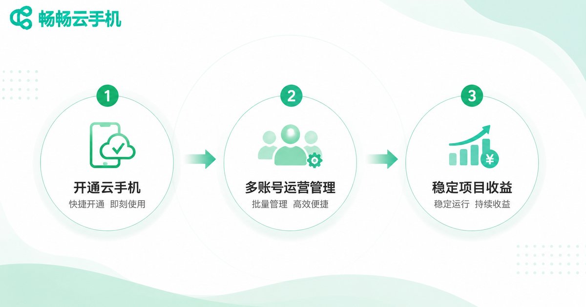 云手机项目运营流程图