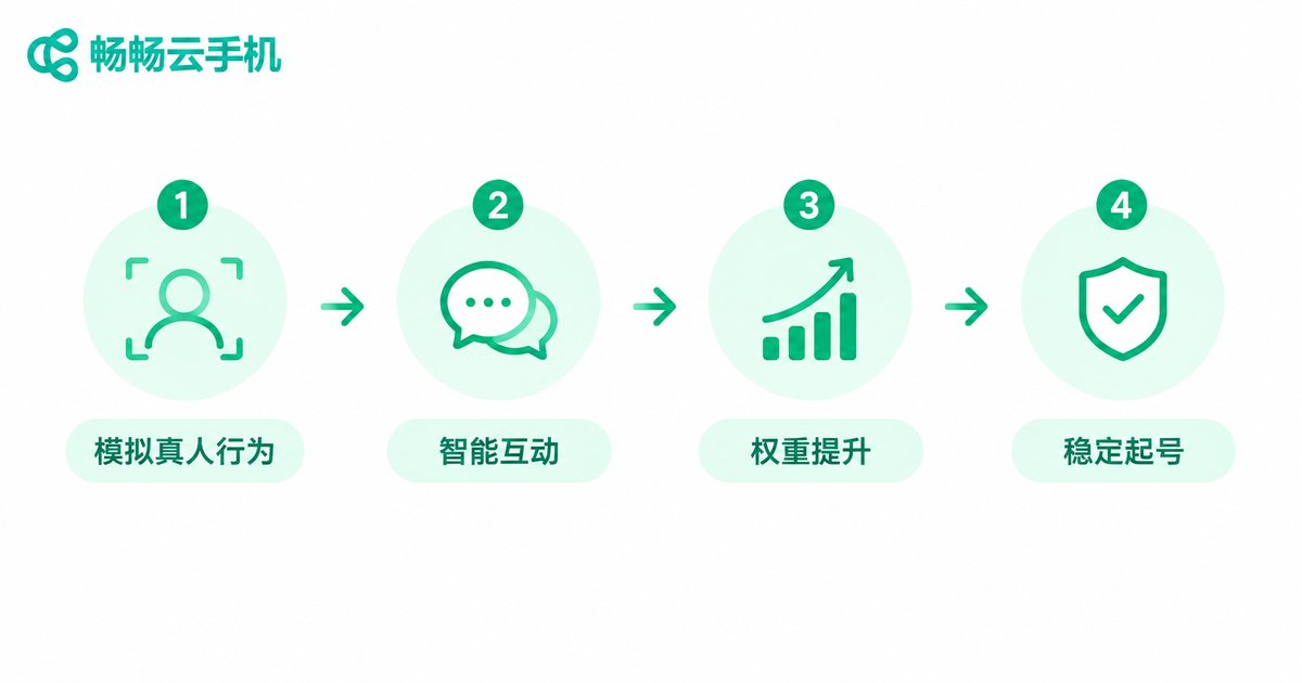 自动养号四步流程图